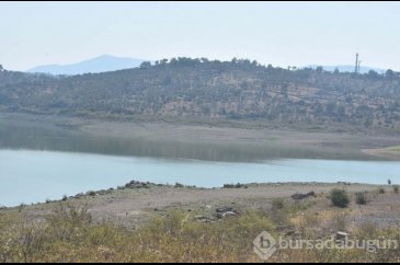 Bodrum'da salgın uyarısı