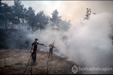 Çanakkale'deki orman yangını kontrol altına alındı