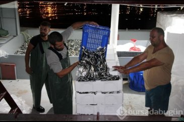 Denizlerde av sezonu açıldı