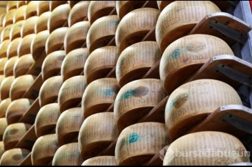 İtalya'da mikroçipli parmesan üretiliyor