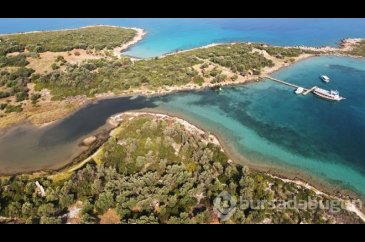 Muğla'daki Sedir Adası'nda antik surlar ortaya çıkıyor