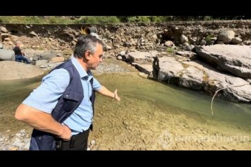 Çimento yüzünden binlerce balık öldü...