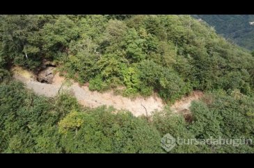 Trabzon'da kaçak define bulmak için iş makinasıyla ormana girdiler