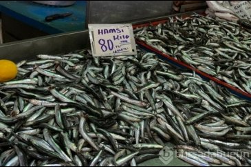 Hamside bolluk var ama kilosu 80 lira!