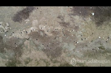 Suyu çekilen Seyhan Baraj Gölü'nde kirlilik