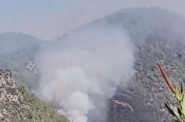 Adana ve Muğla'da orman yangını