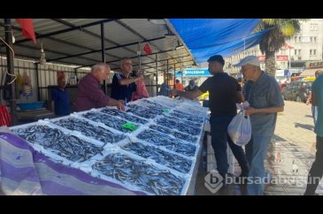 Deniz suyunun sıcaklığı balık miktar ve fiyatını olumsuz etkiliyor