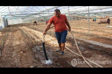 Yeni sezon açıldı, üretici kolları sıvadı!