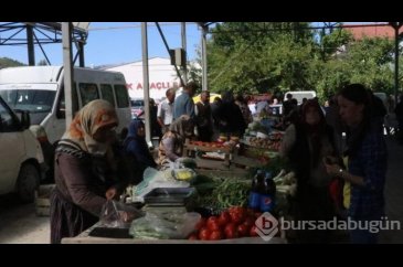 Çeltik tarlalarında hasat başladı