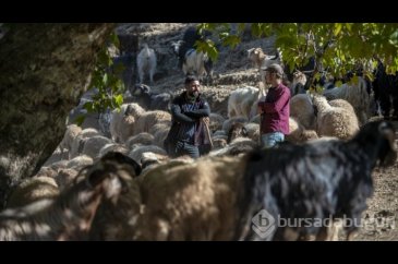 İran saldırısından korkan Erbil'deki göçerler yaylalarını terk etti