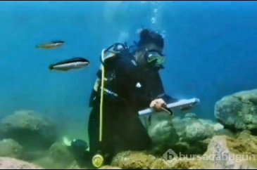 Ülkede bunu yapabilen ilk Türk kadını dünyada ise 3'üncü sırada!