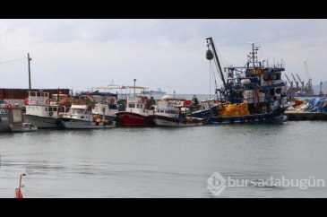 Tekirdağlı balıkçılar poyraz nedeniyle 2 gündür denize çıkamıyor