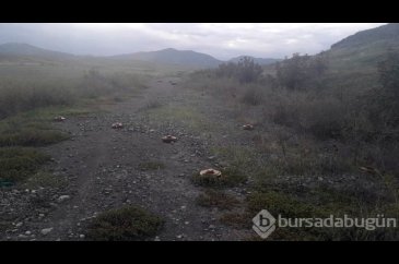 Karabağ'da Ermenilere ait mühimmatlar!