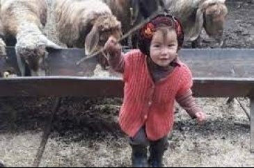 Müslüme Yağal'ın ölümüne ilişkin davada gelişme! Mütalaa açıklandı