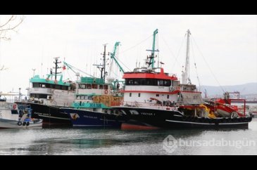 Hamsi bolluğunu duyan balıkçı av için Tekirdağ'a geliyor