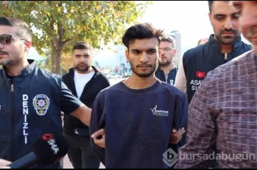 Fare zehirli cinayette mahkeme kararını verdi