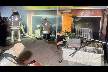 Maltepe'de petshopta yangın çıktı