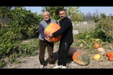 Mahalle muhtarı bahçesinde 40 kilogramlık bal kabağı yetiştirdi
