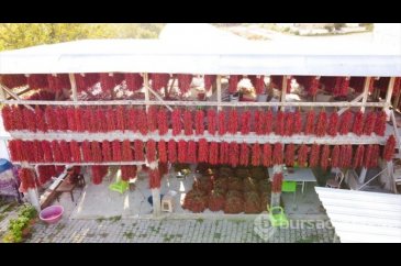 Tescilli 'Çukurören biberi'nde kurutma mesaisi köyü adeta kırmızıya...