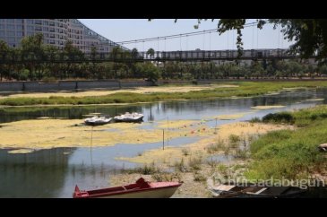 1 milyon turist için Seyhan Nehri'ne su verildi
