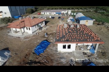 Defne'de afet evlerinin yapıldığı bölgede hayvancılık faaliyetleri ...
