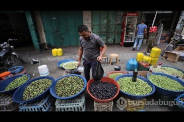 Gazze'de zeytin hasadı
