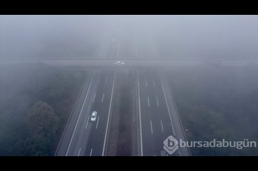 Düzce'de sis etkili oldu