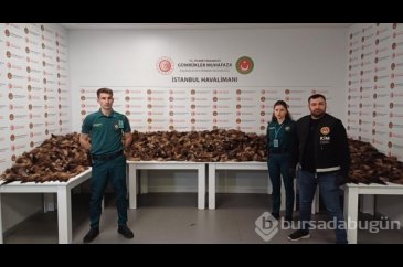 İstanbul Havalimanı'nda 10 bin 300 adet tilki kuyruğu ele geçirildi

