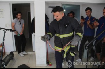 Kargo şubesinden zehirli yılan çıktı! 