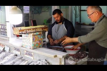 Karadeniz'de hamsi bereketi!