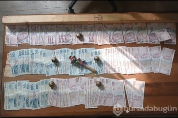 İstanbul'da köpek dövüşü operasyonu: 24 kişiye ceza kesildi