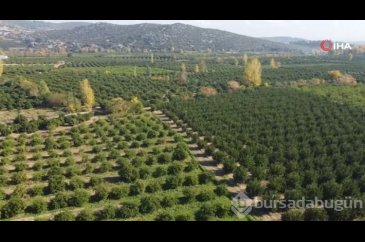 Avrupa Adana'dan almak için sıraya giriyor!