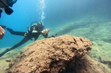 Turizm cenneti Antalya'nın su altı güzellikleri!