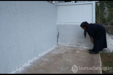 "Kürek kürek temizliyoruz, yatağımızın içine bile giriyorlar, uyuya...