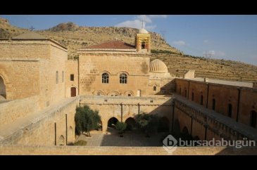 Tarihi manastır bahçesinde zeytin hasadı

