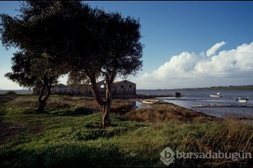 Ara Güler'in Ayvalık fotoğrafları gün yüzüne çıkıyor
