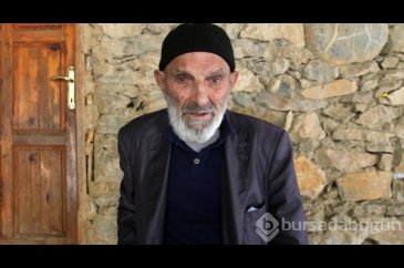 Cumhuriyet ile yaşıt olan Bitlisli çınarlar, zor şartlarda geçen yı...