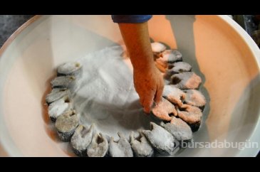 Az avlanan palamutlar lakerda yapılarak değerlendiriliyor
