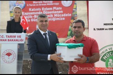 Mersinli çiftçilerin korkulu rüyası oldu