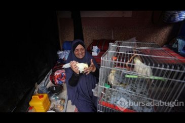 Nasır Hastanesi'ne sığınan Filistinli, beslediği hayvanlarını da gö...