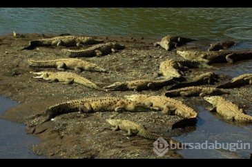 Dünyanın en tehlikeli okul yolu