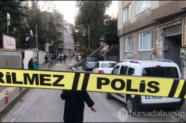 Bursa'da lodos etkili oldu, ağaçlar araçların üzerine devrildi