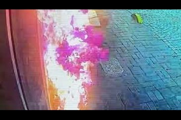 İstanbul'da otele ait suni çiçekleri koparan kişi yangın çıkardı