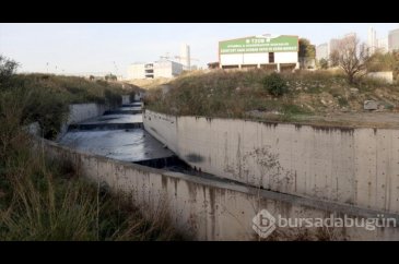 Haramidere'nin koku ve kirlilik sorunu çözüm bekliyor
