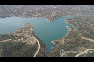 Antalya'da küle dönen ormanlarda 5,5 milyon fidan toprakla buluştu
