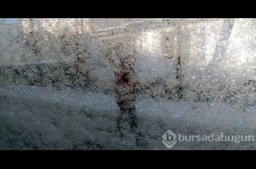 Doğu Anadolu'da kar yağışı durdu, soğuk hava etkisini koruyor

