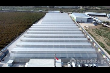 Fide üretilen tesise kurulan GES, enerji giderini yüzde 60 azalttı
