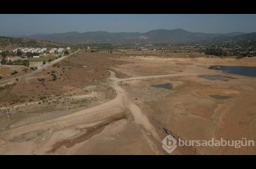 Bodrum'da dibi gören barajlardan sevindiren haber
