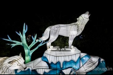 Oakland Hayvanat Bahçesi'nde Glowfari Işık Festivali
