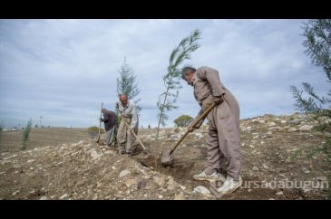 Türkiye'nin "Geleceğe Nefes Projesi" kapsamında Erbil'de 12 bin fid...